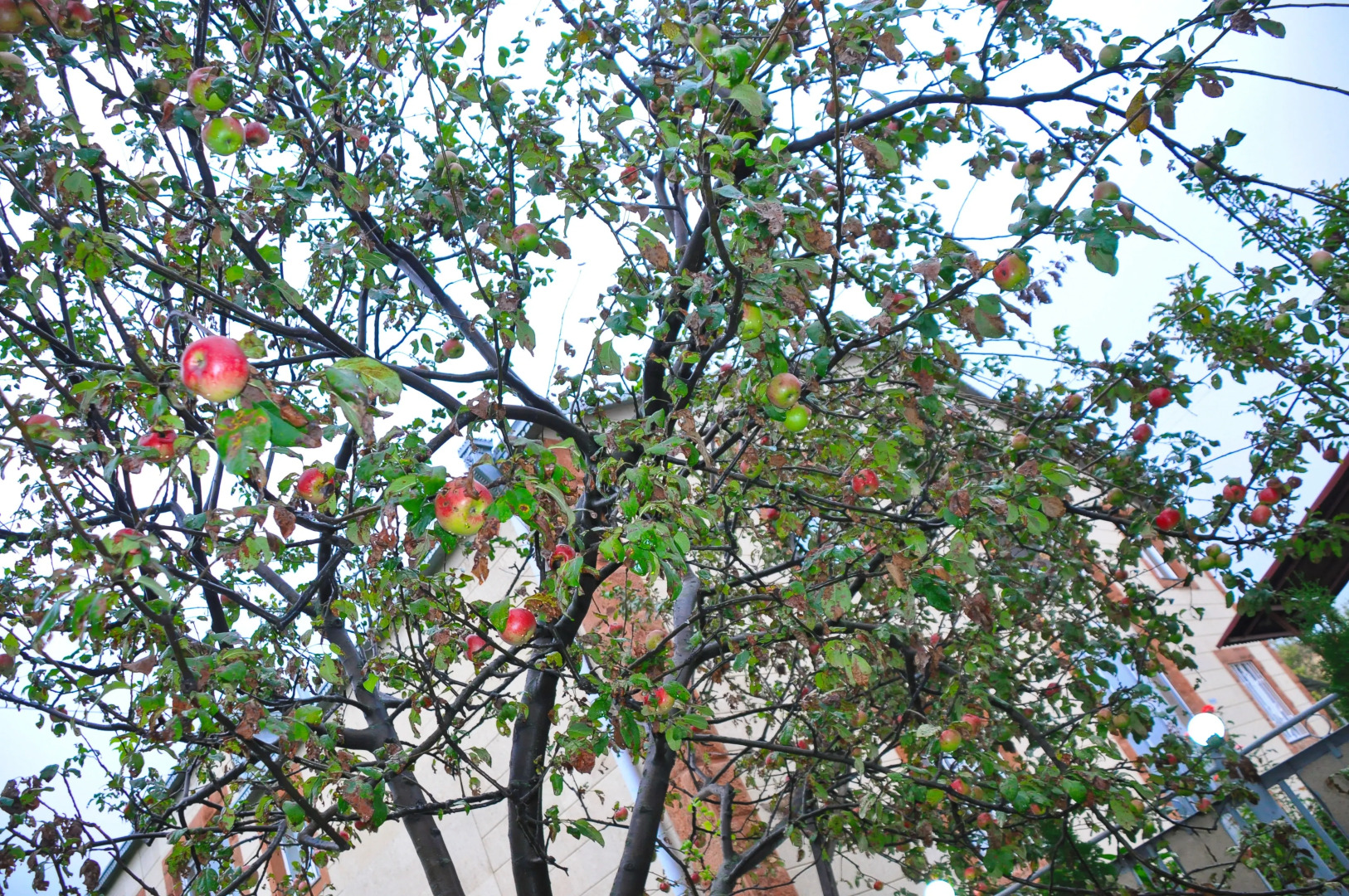 Гостевой дом Kamar