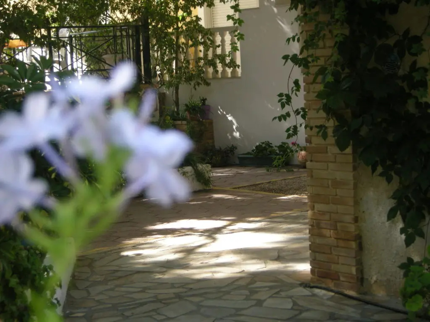 Апартаменты Kuris