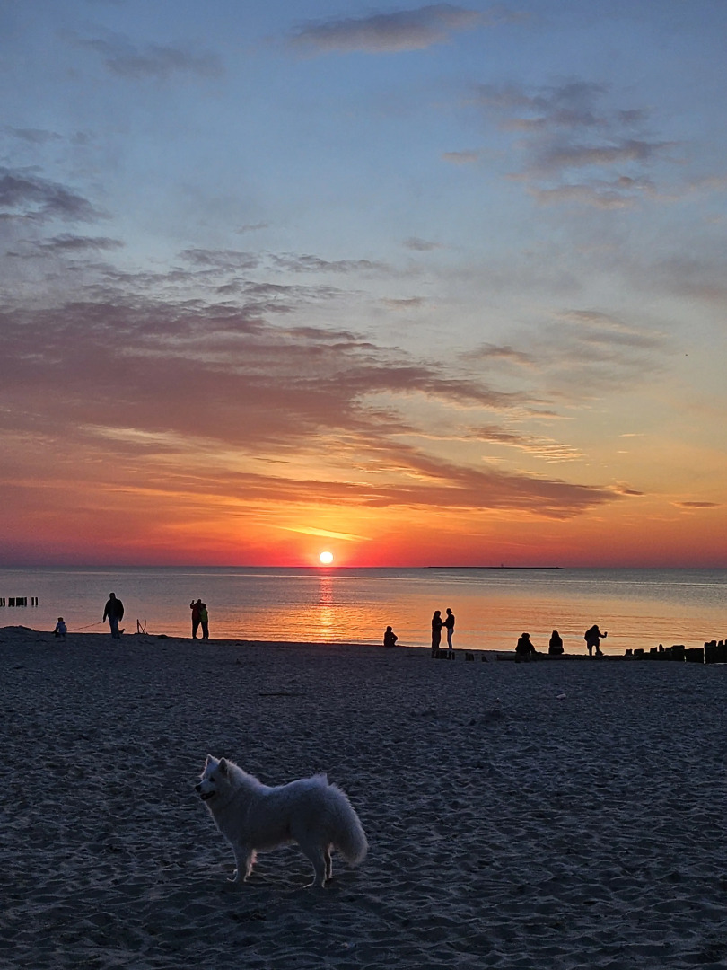 Апартаменты Атлантис 298 с террасой