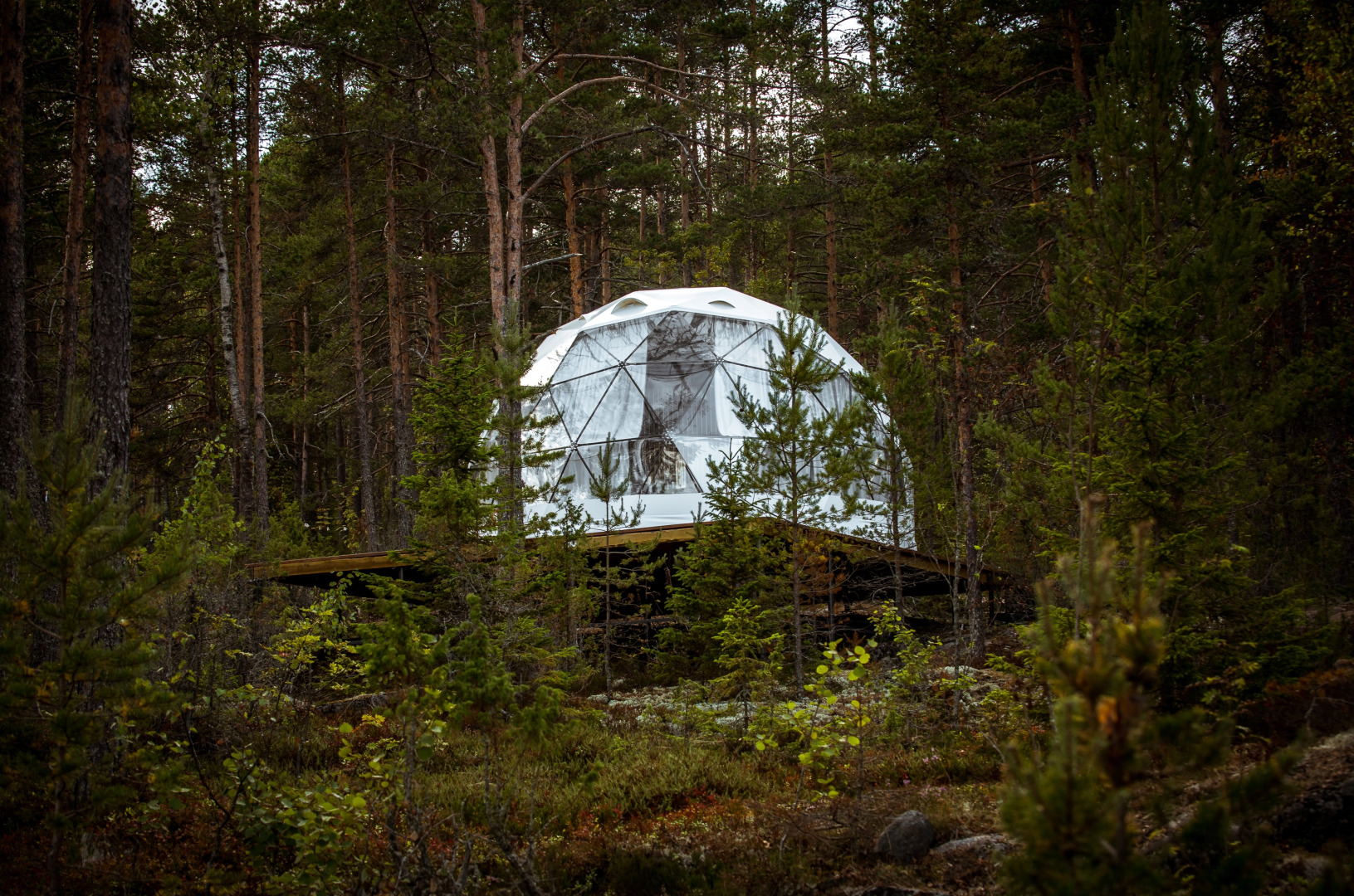 Глэмпинг Lago Ladoga