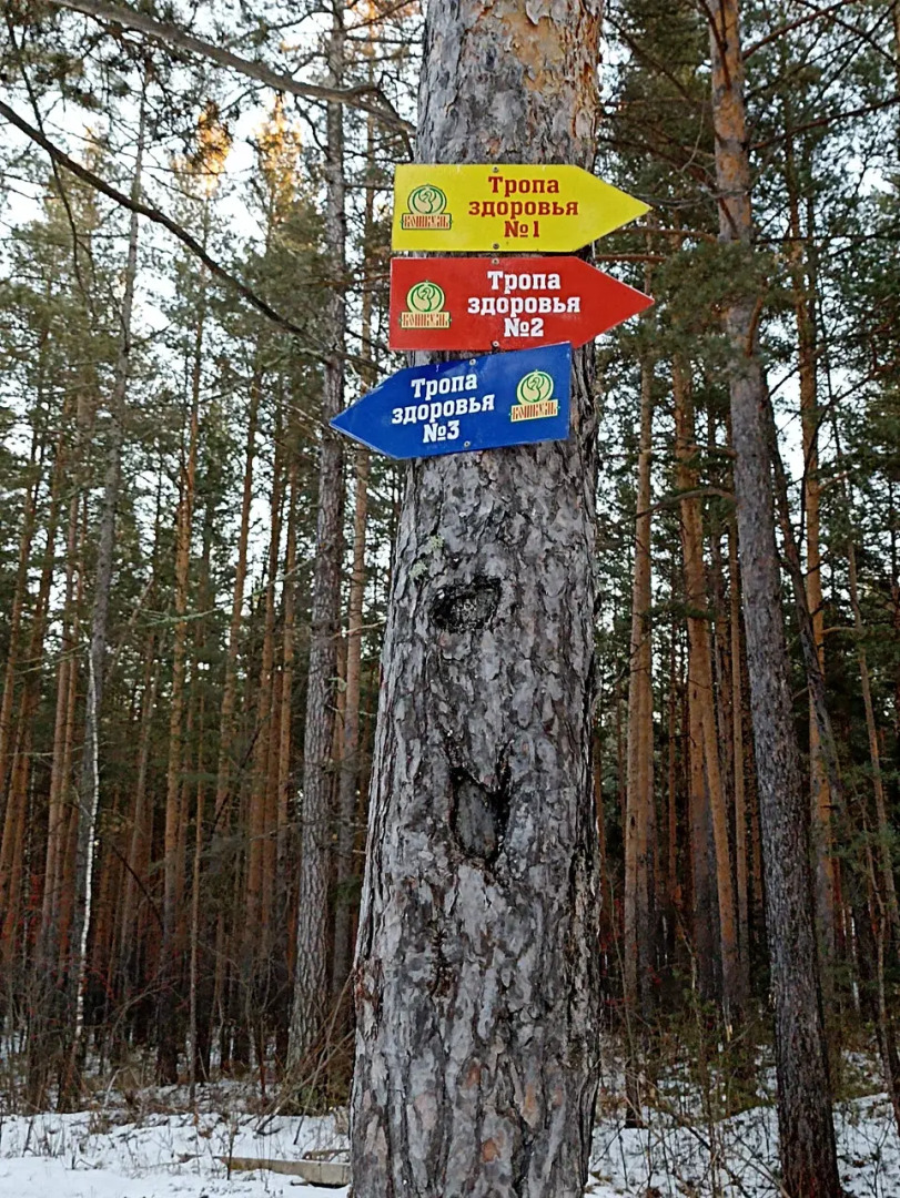 Санаторий-профилакторий Кошкуль