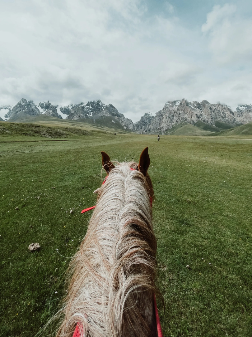 Глэмпинг Yurt camp Visit Kol-Suu