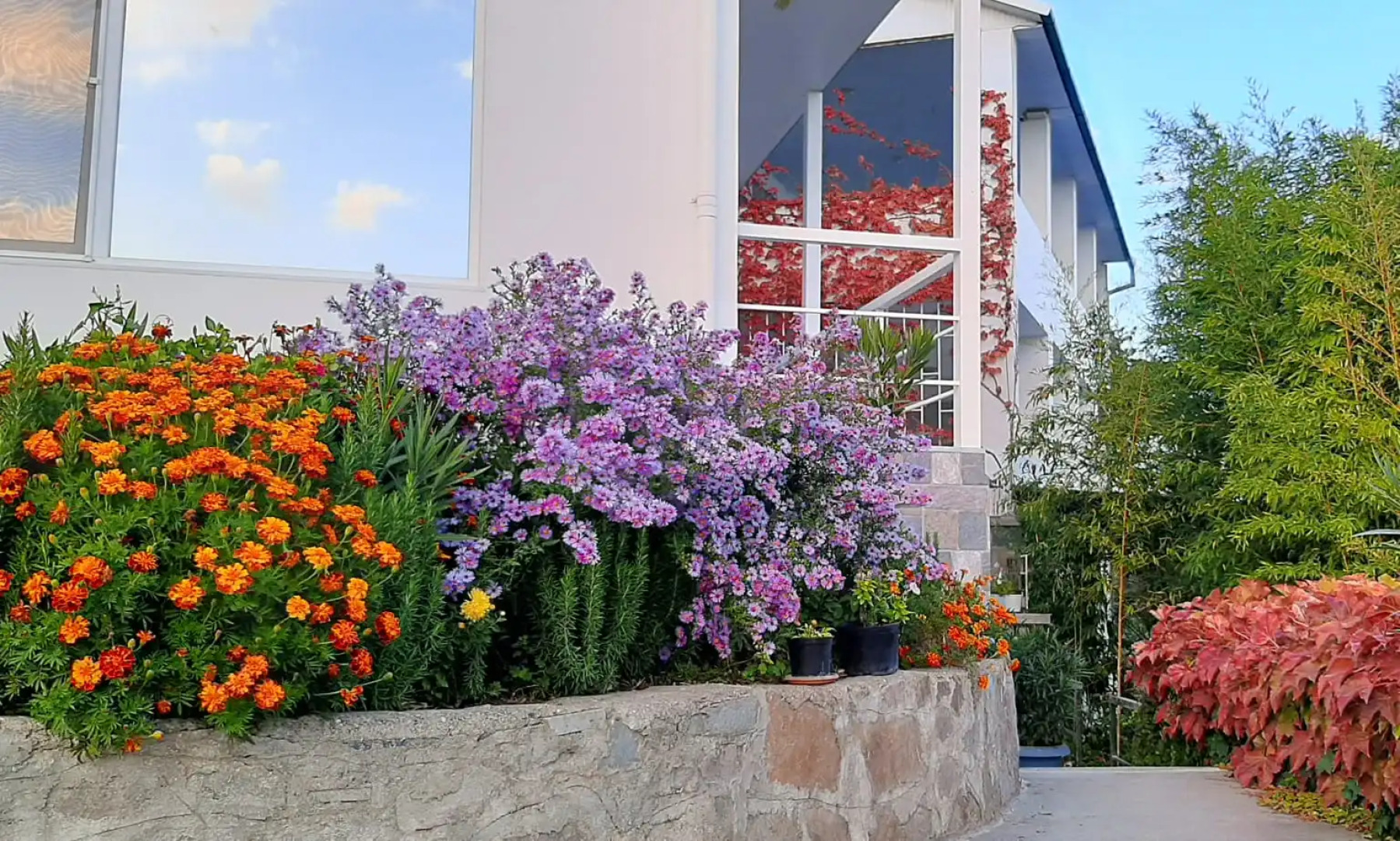 Гостевой дом Sun Hill