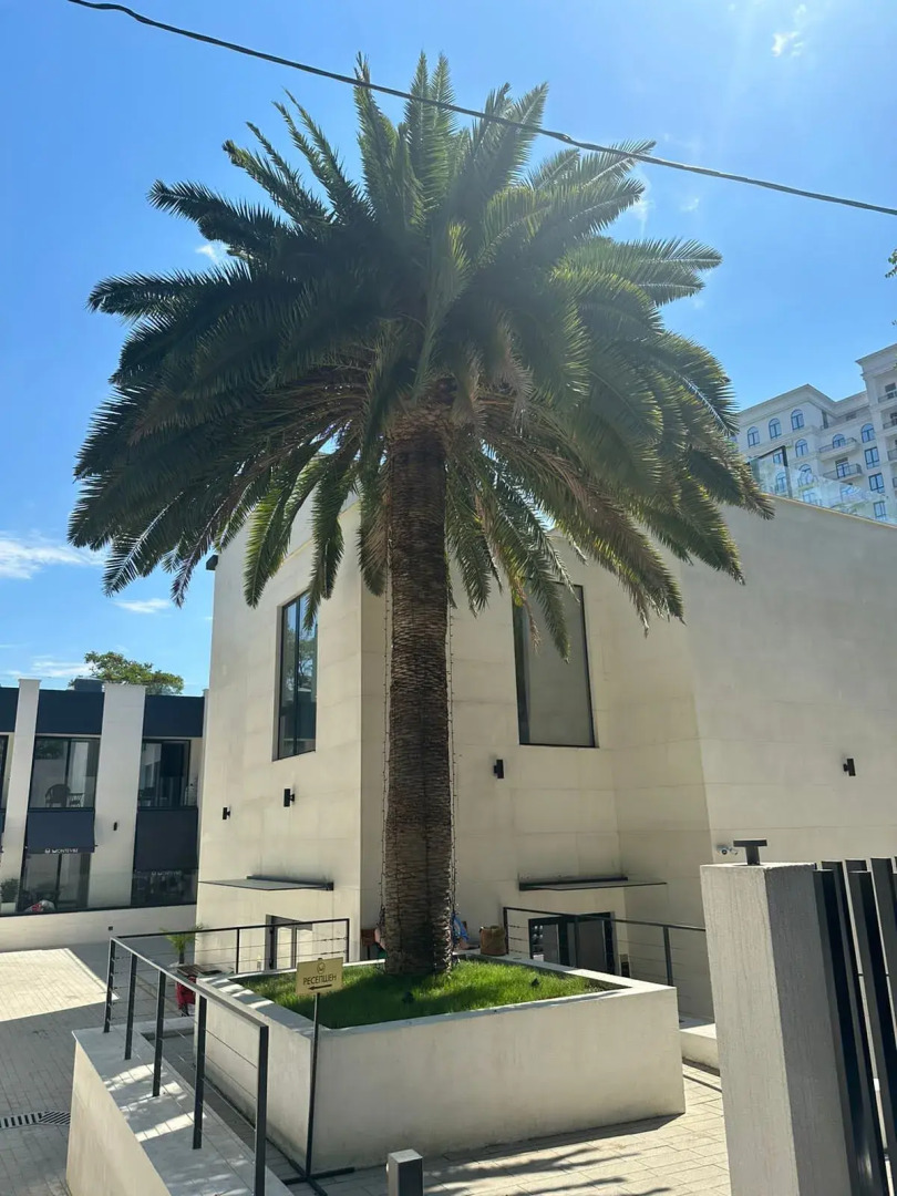 Апартаменты Золотой Треугольник Сочи Премиум