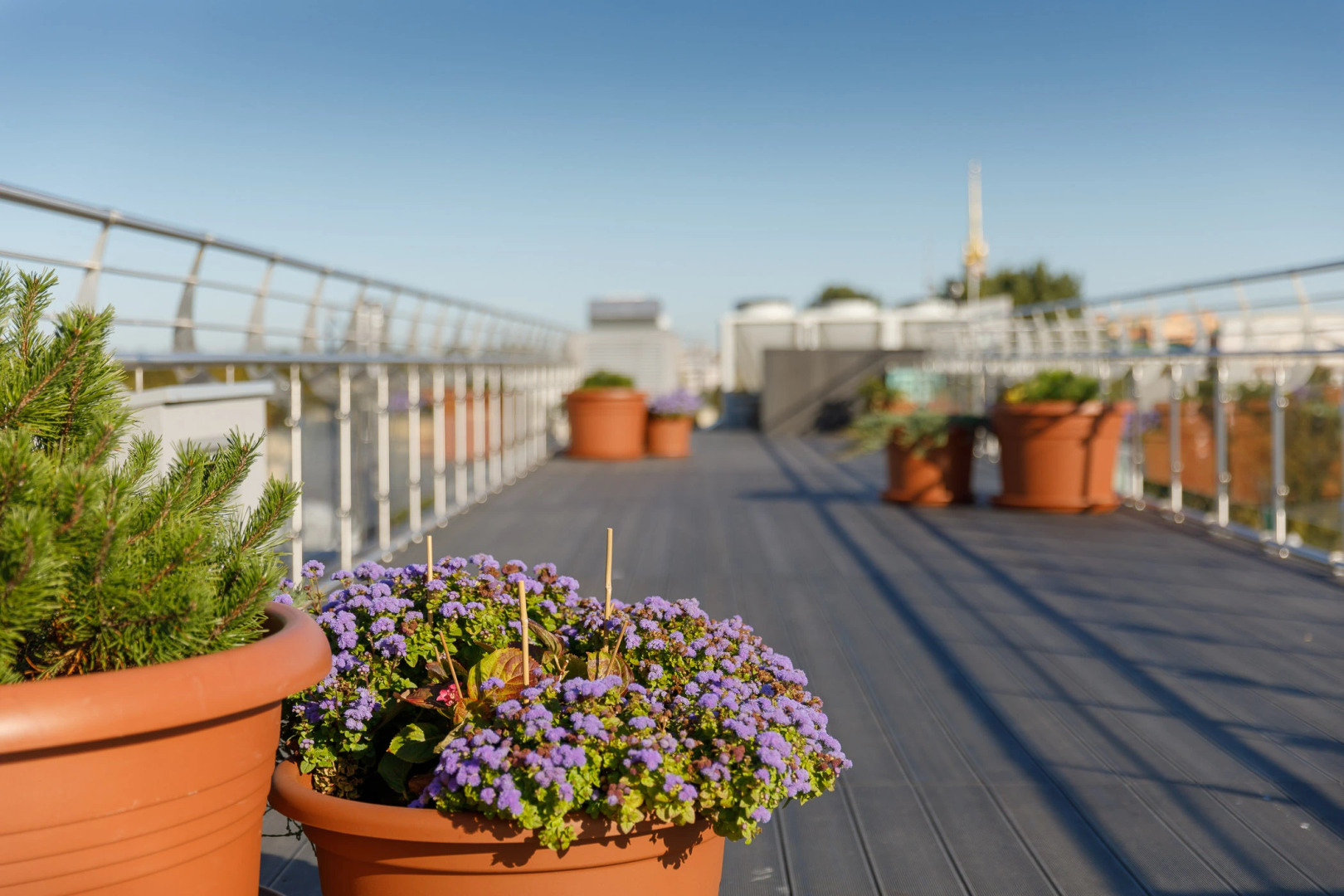 Отель Garden Street