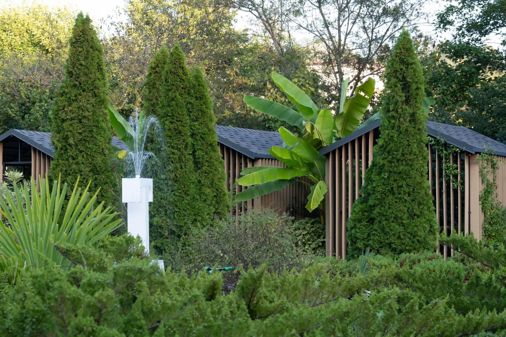 Отель Cosmos Smart Sochi Tivoli