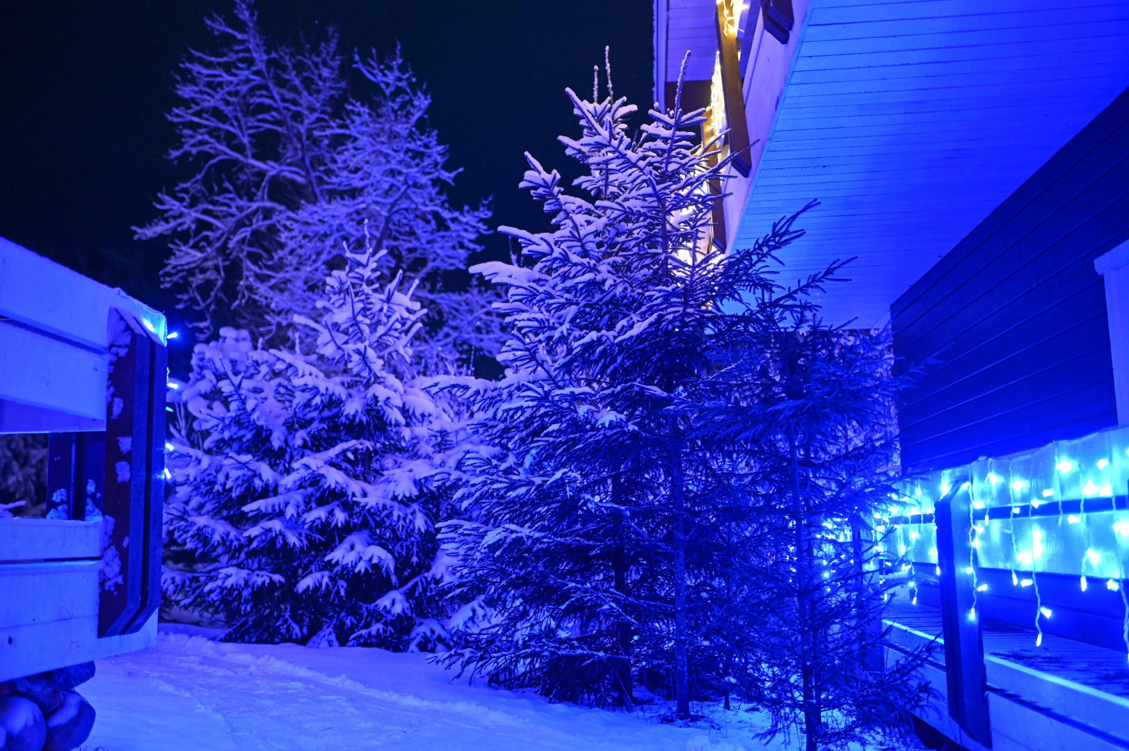 Меблированные комнаты Моя Дача