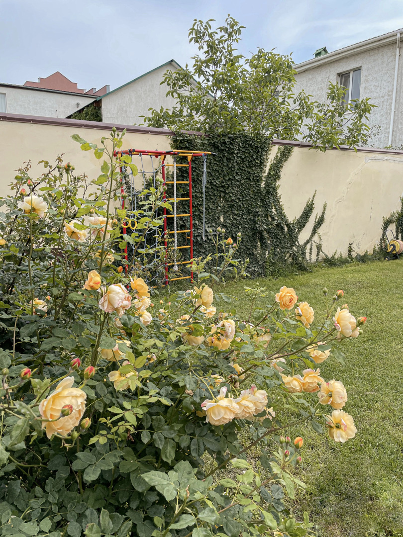 Гостевой Дом Кот