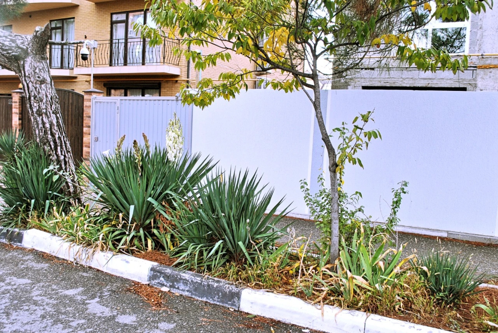 Гостевой Дом На Колхозной