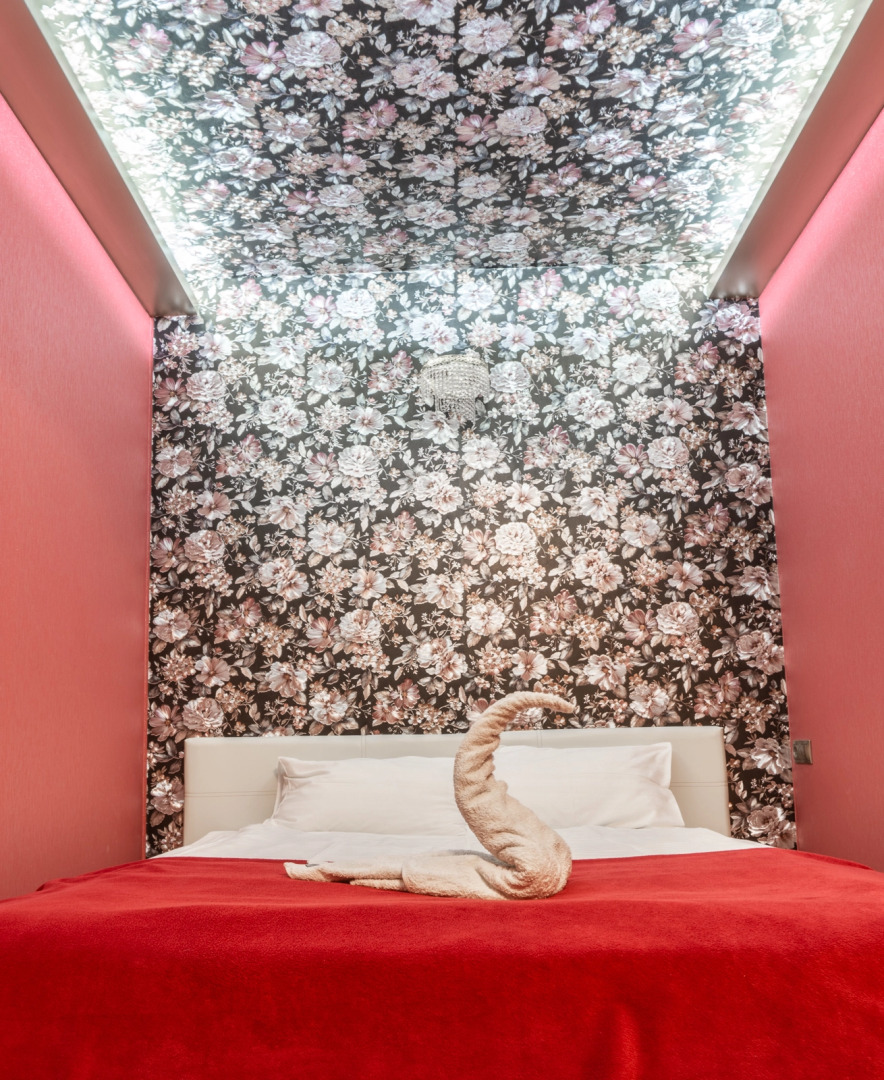 Апартаменты Студия с маками