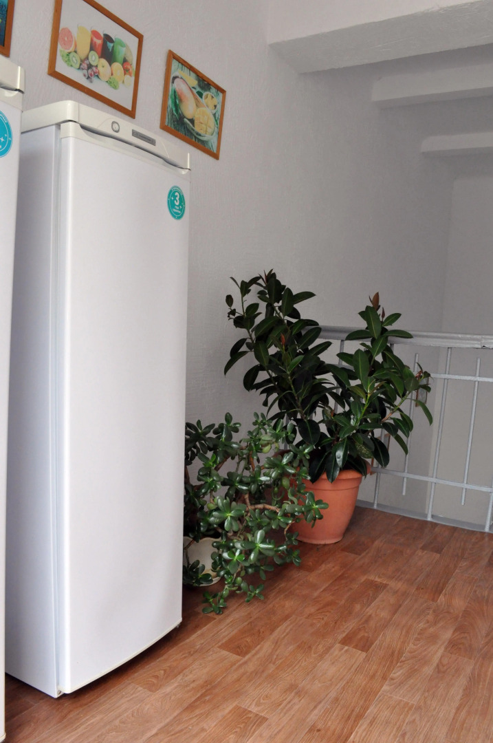 Отель Чайка