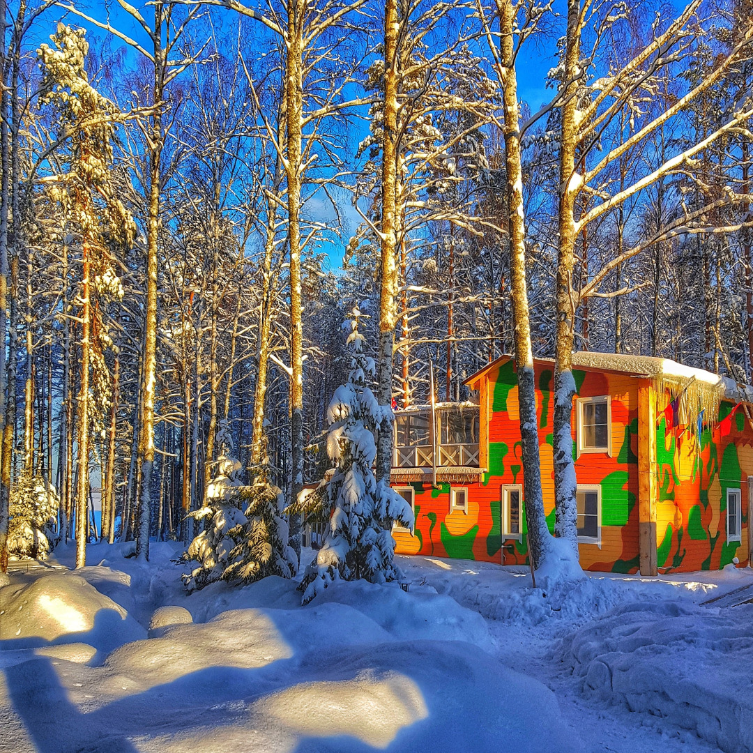 Частный дом BlackFox