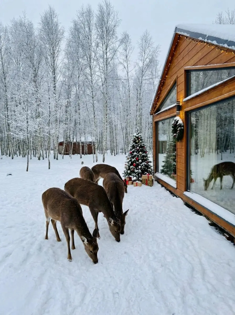 Гостевой дом Бэмби Лэнд