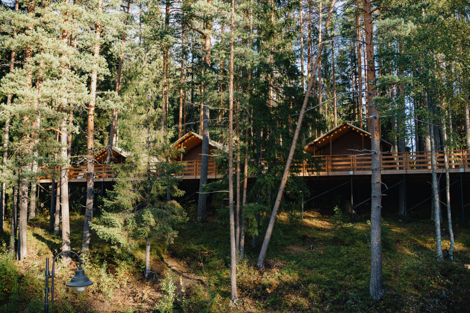 Глэмпинг Террасы