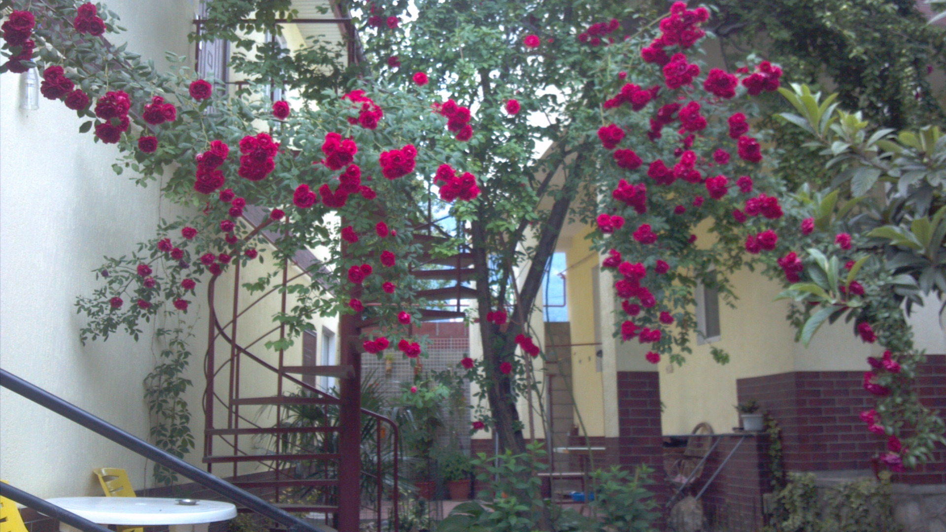 Гостевой Дом Манго