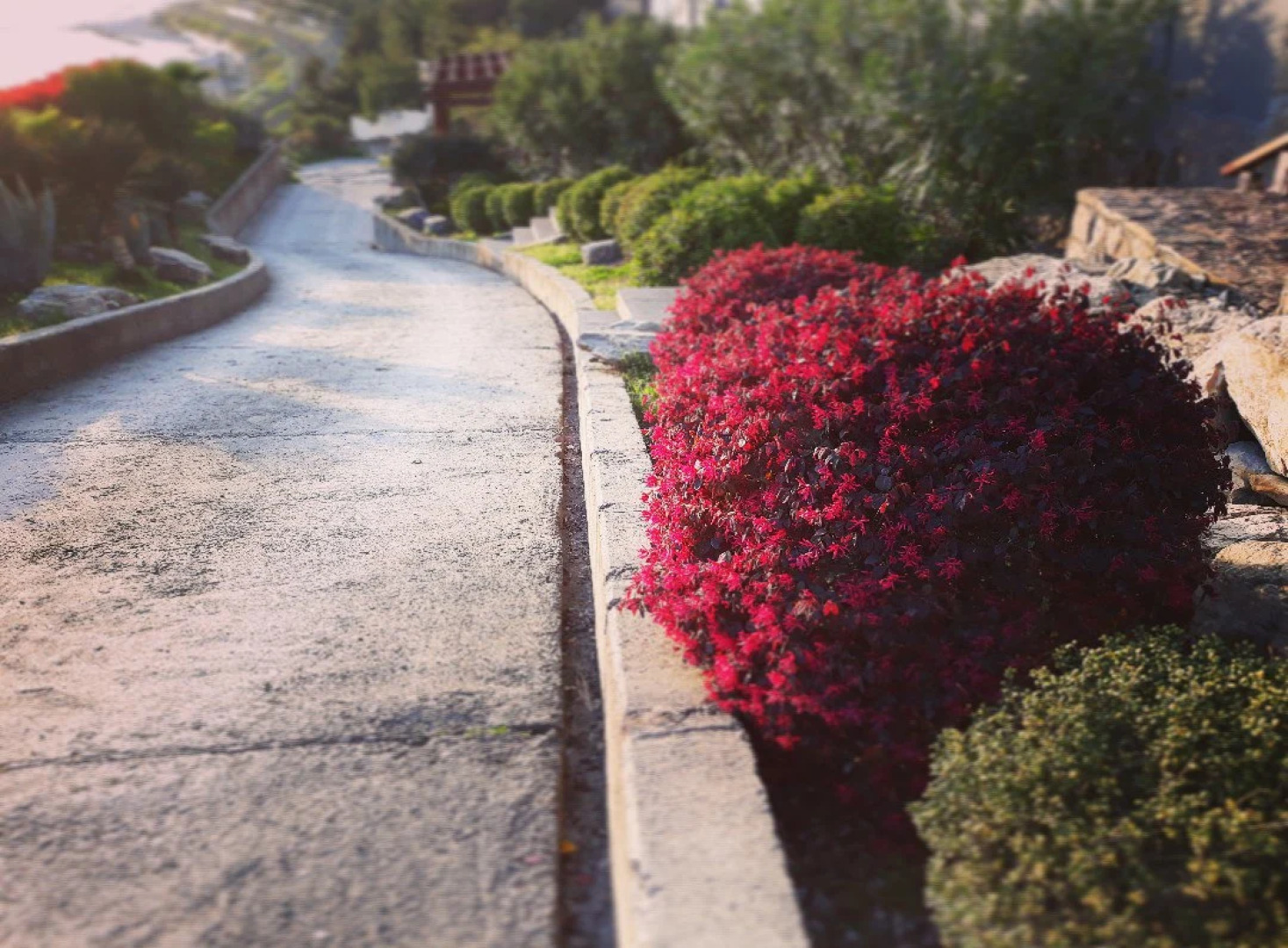 Гостевой дом Морская панорама