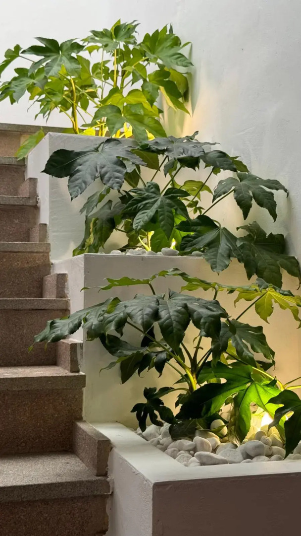 Hospedium Hotel La Fuente