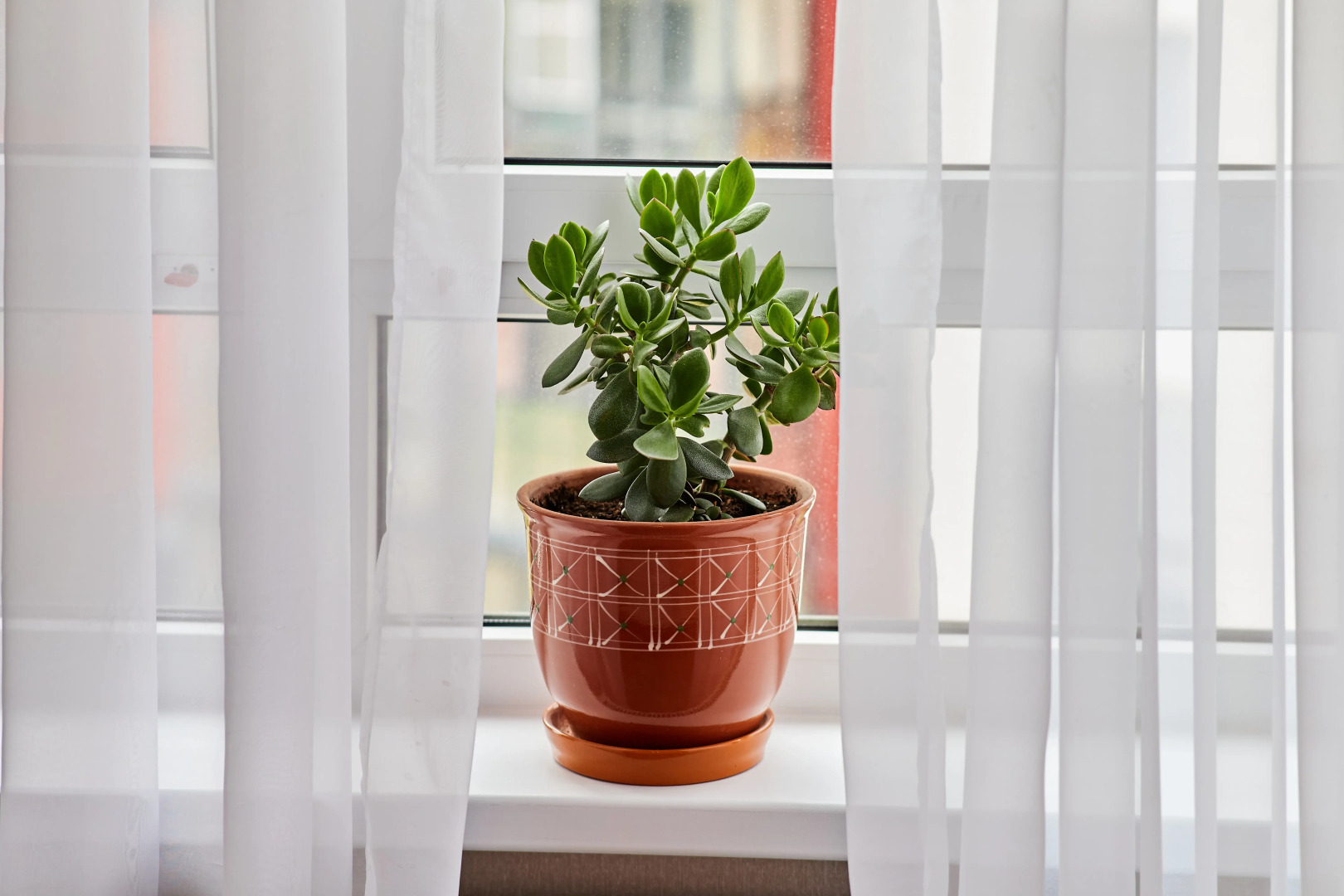 Апартаменты на улице Алексея Алехина 22