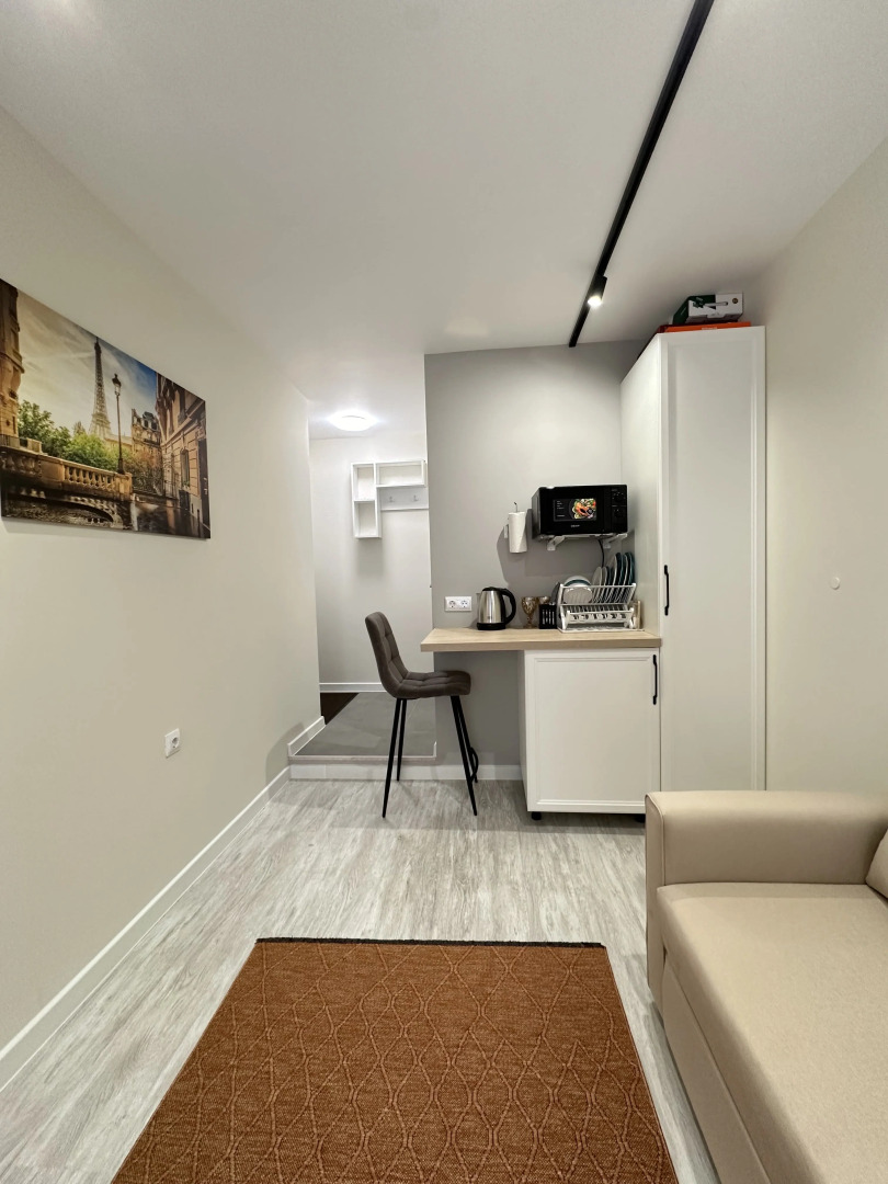 Апартаменты Студия Пушкинская 11/4