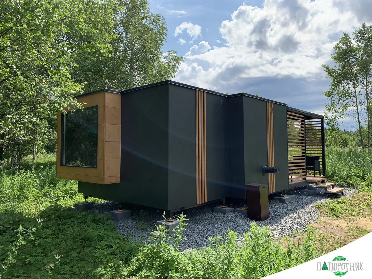 Папоротник