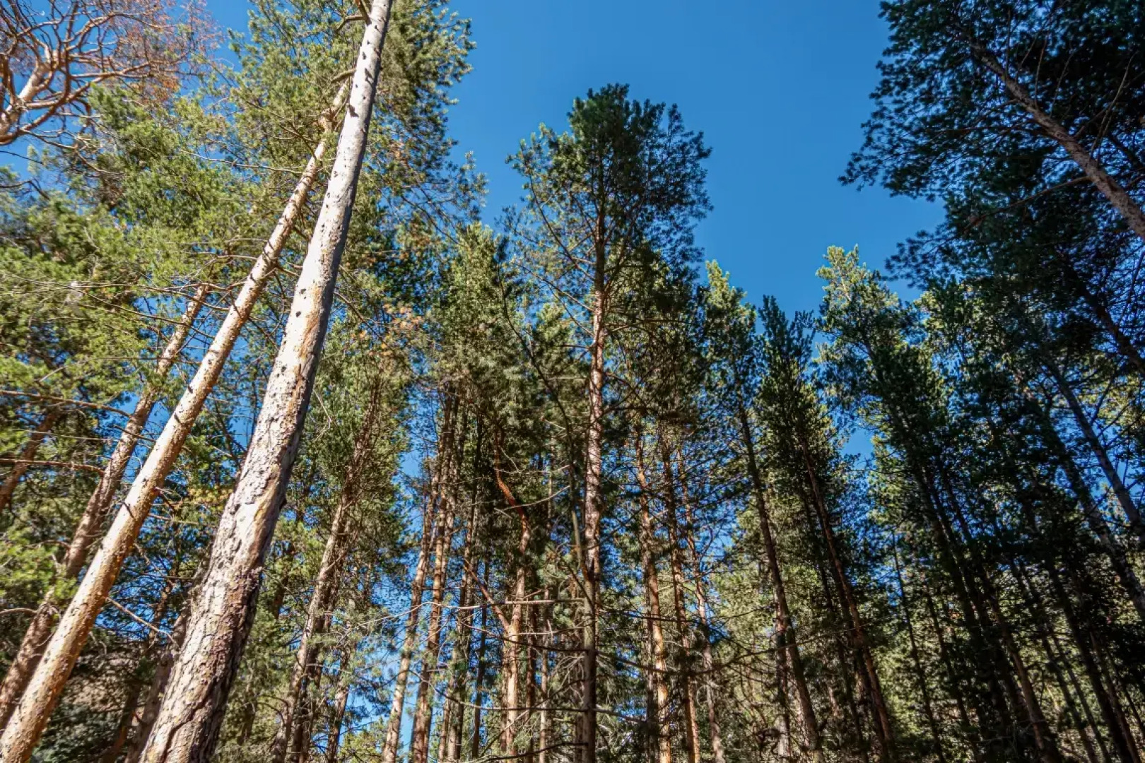 Апартаменты Классические с Красивым Видом у Реки от Квартирукинг