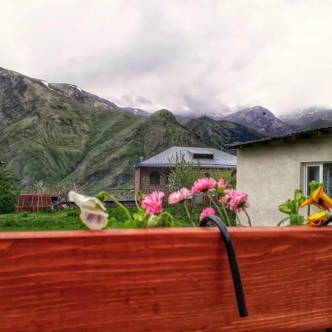 Гостевой дом Elguja Qushashvili