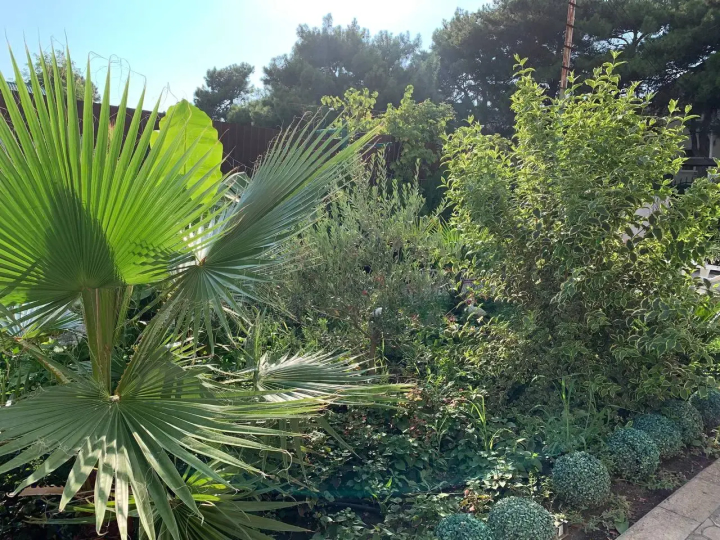 Отель Нинель