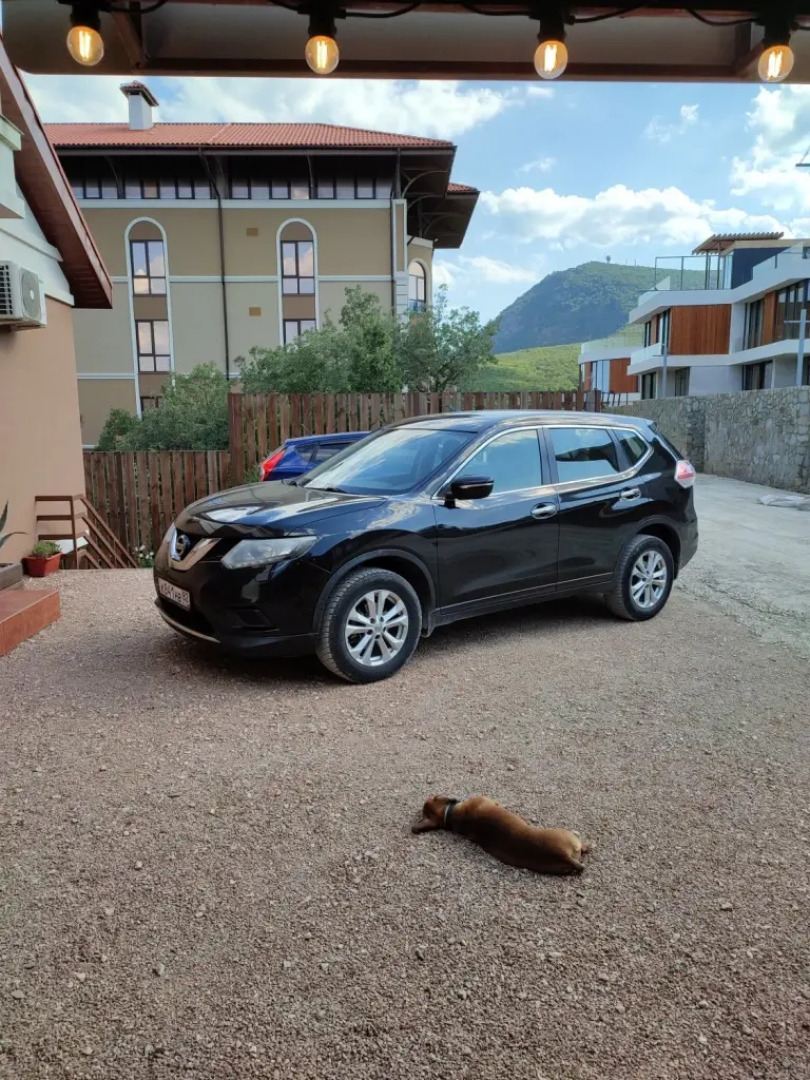 Гостевой дом Чудная Лаванда