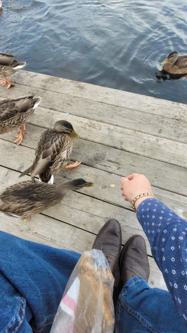 Гостевой дом Довольный Раджа