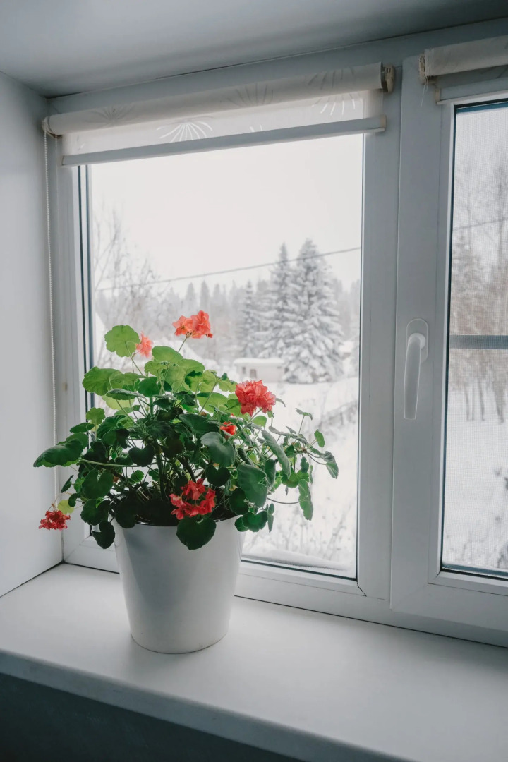 Гостевой Дом в Карелии у Родника