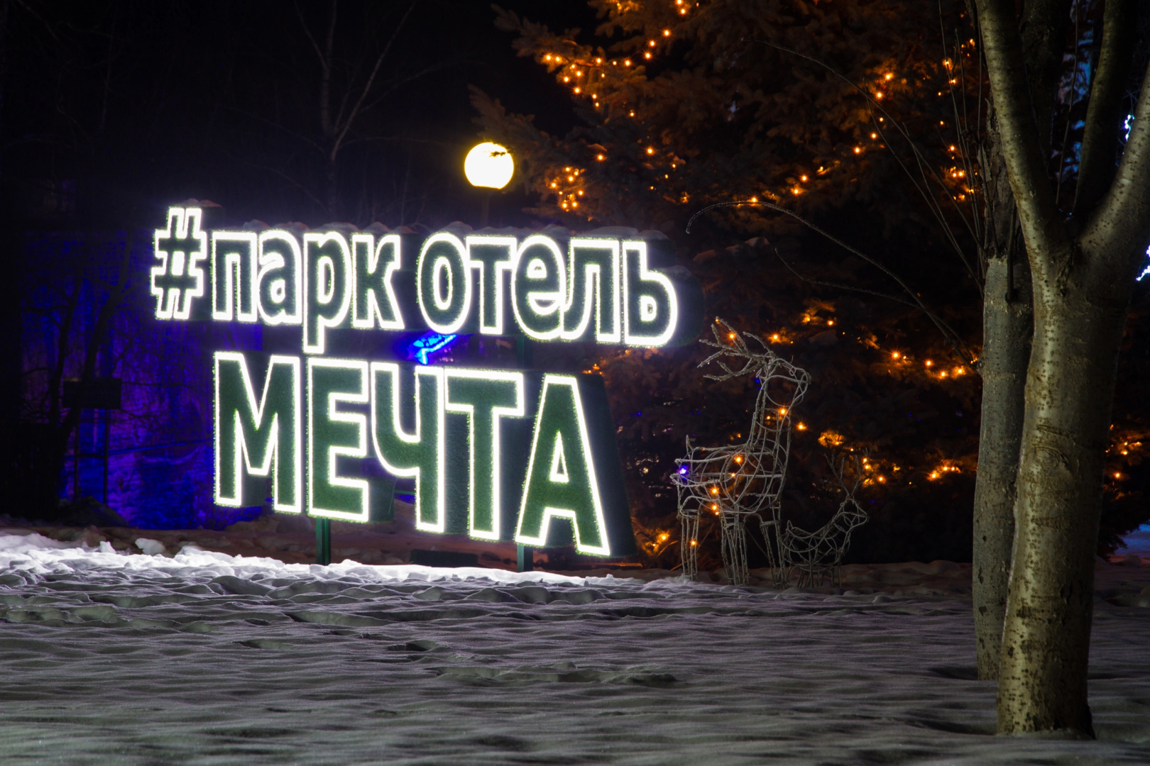Отель Парк-отель Мечта
