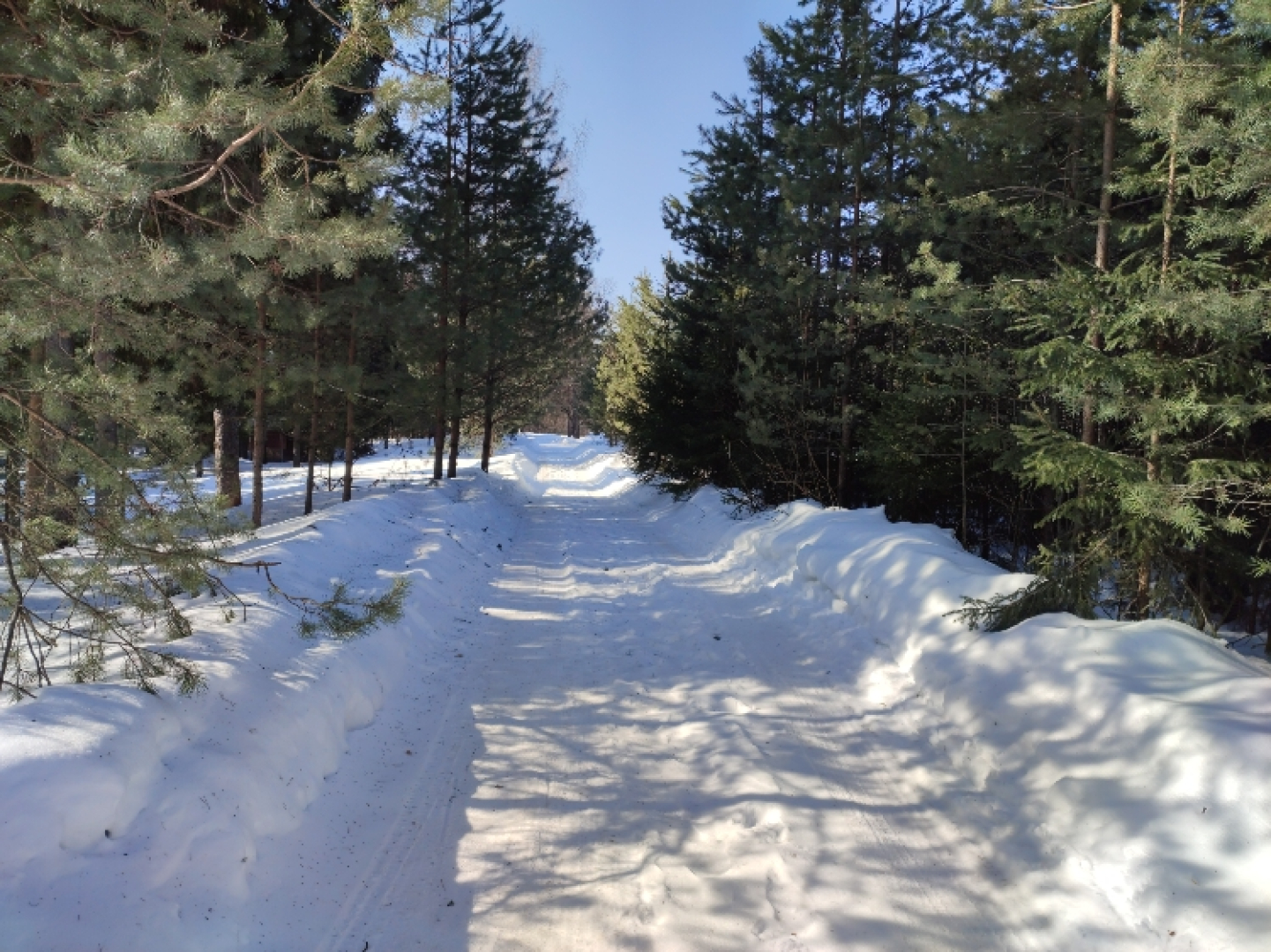 База отдыха Плещеево