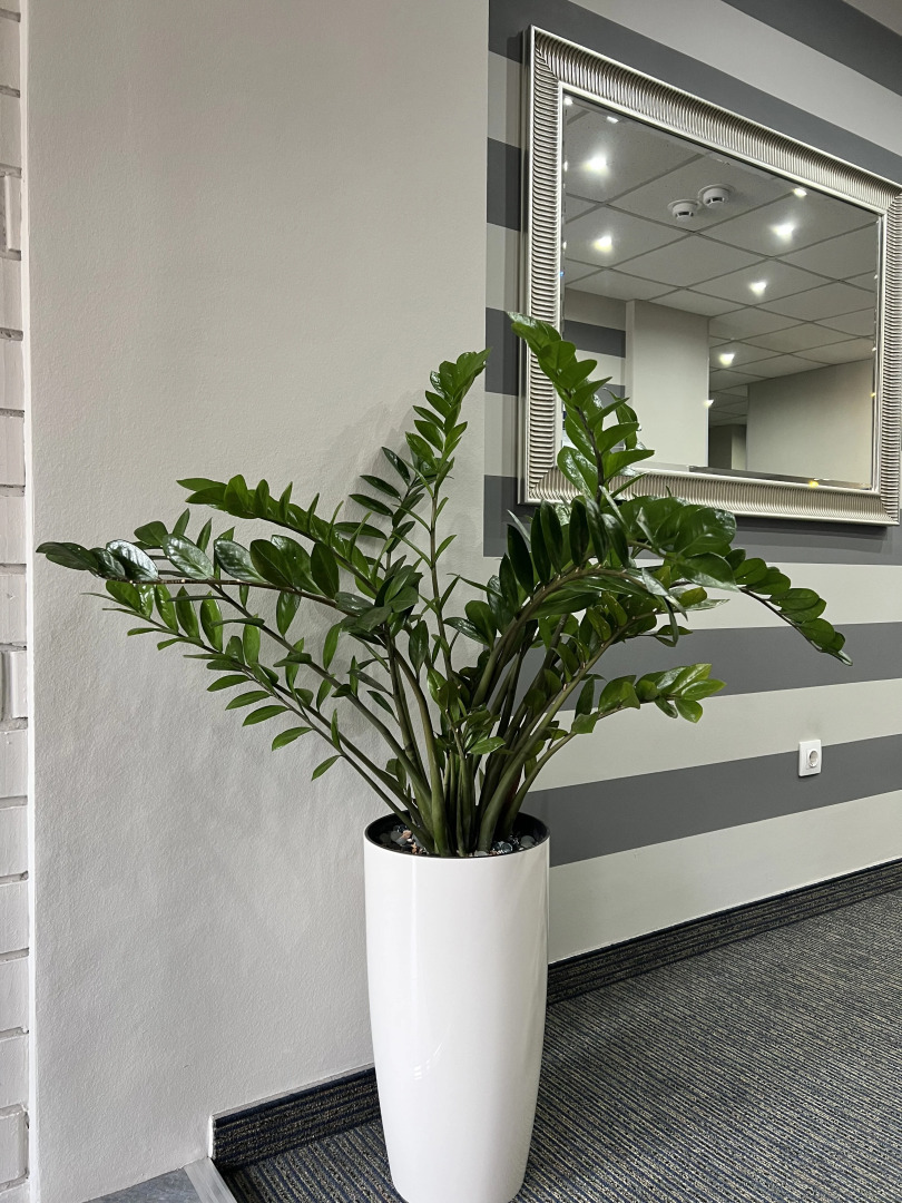 Отель Авеню