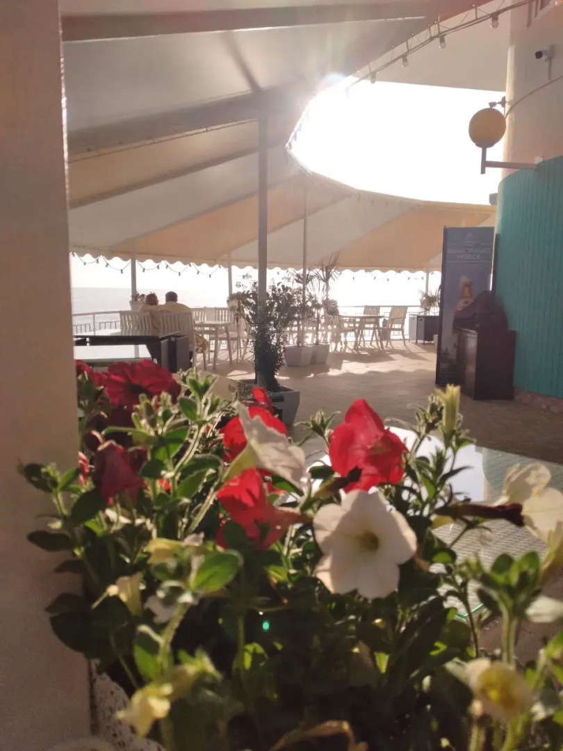 Отель Оздоровительный Комплекс Дивный