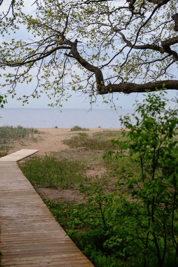 Апартаменты Ривьера апарт