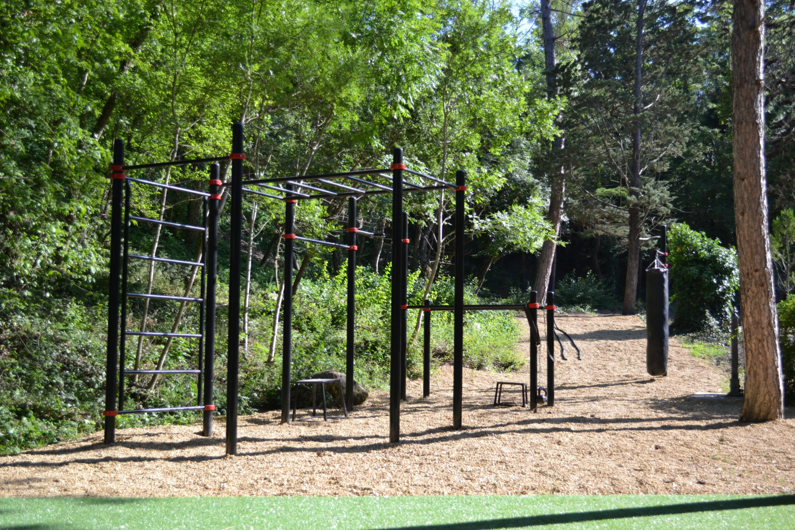 Санаторий Лес