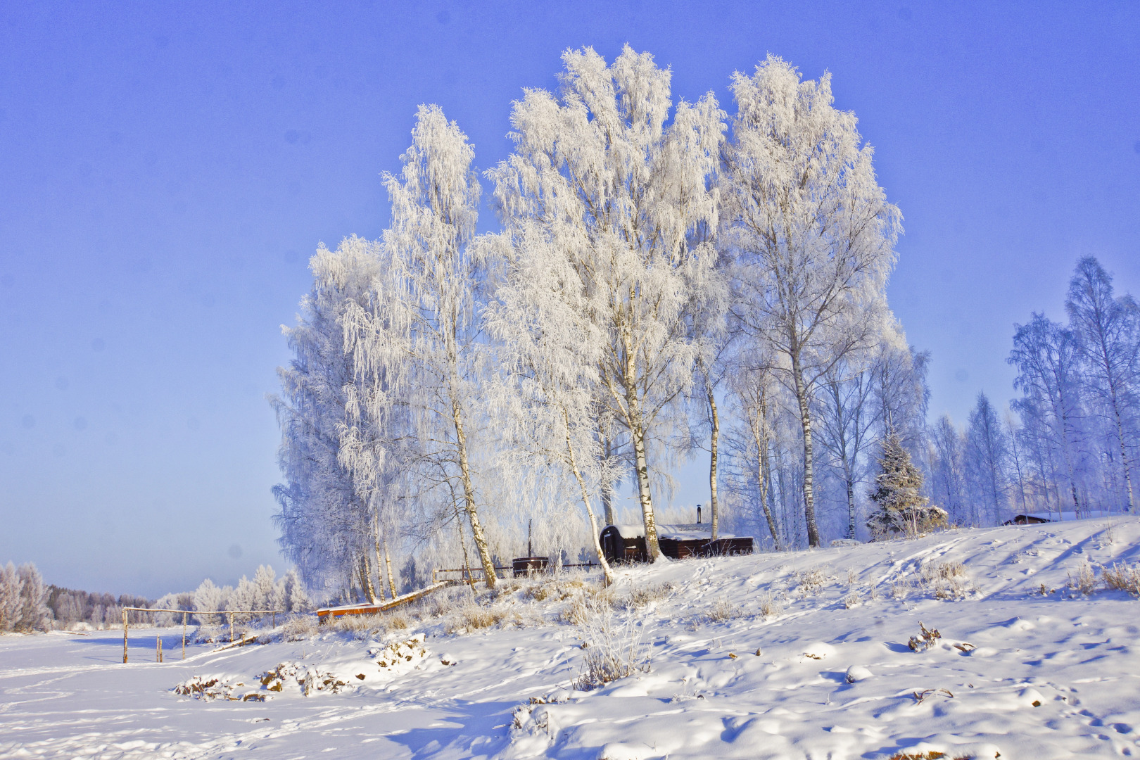 Семейный отель Лесной берег