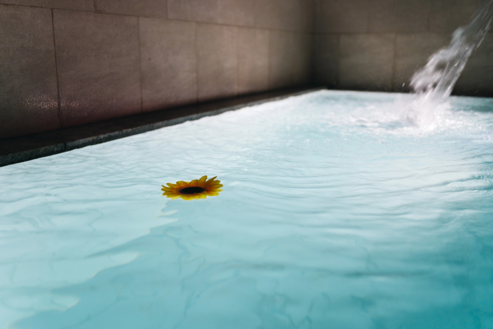 Отель Gemst Hotel&Spa