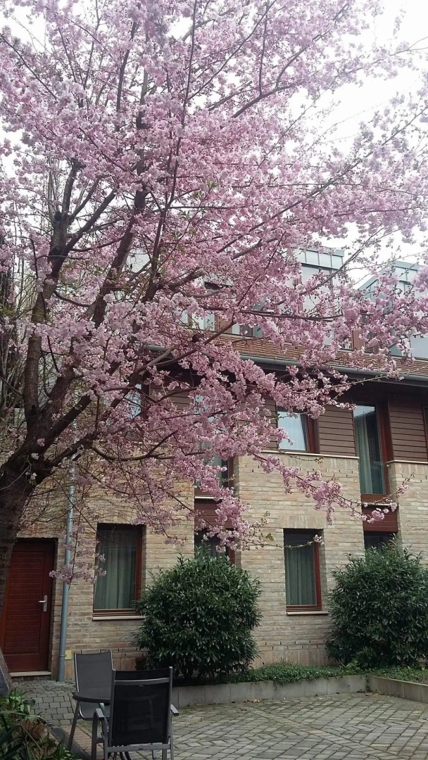 Отель Bazilika alatt Panzió