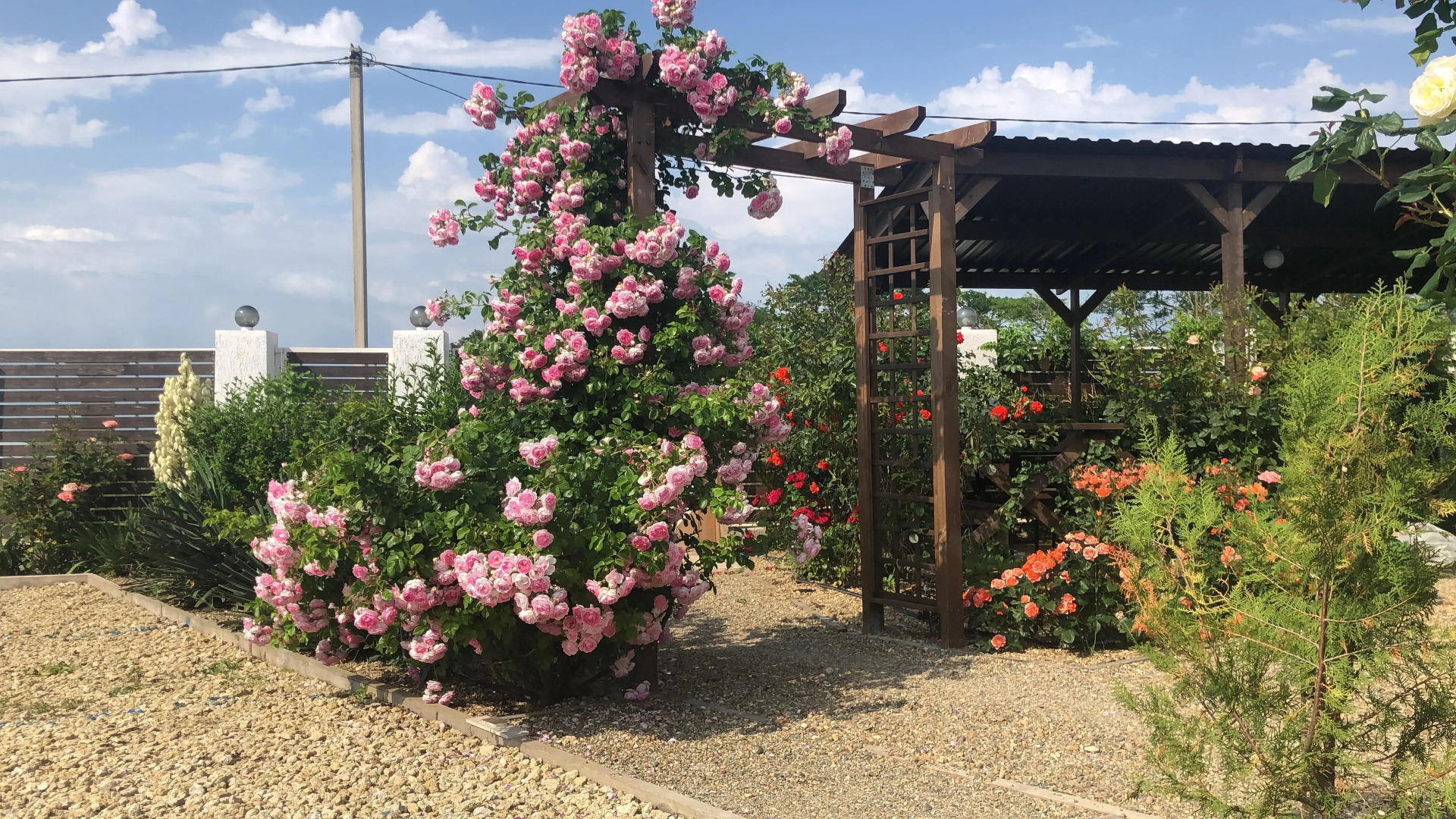 Гостевой дом Гранд камелия