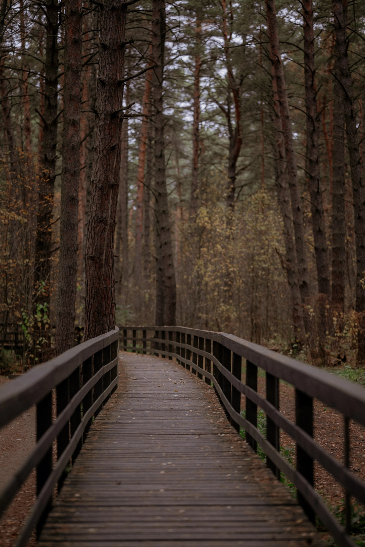 Отель Пайн Ривер