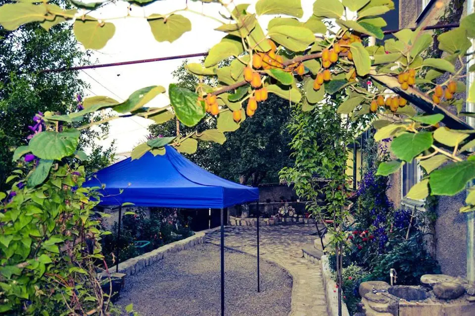 Гостевой Дом Green House Telavi