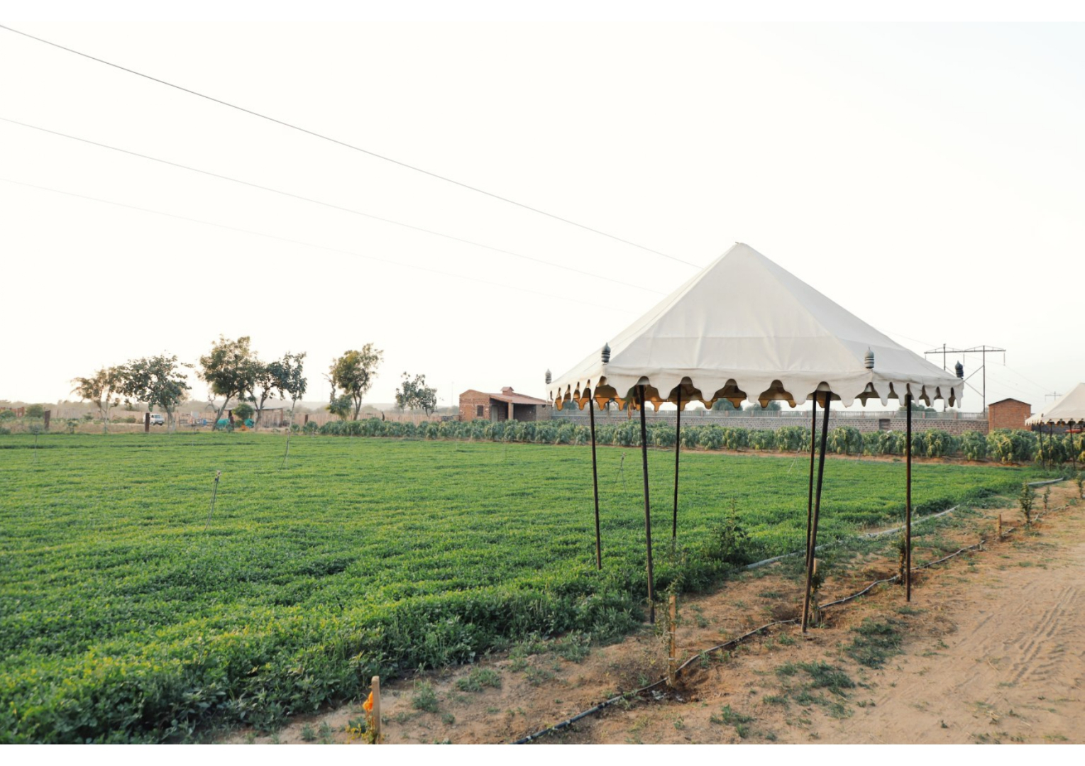 Отель Indroka Fort A Heritage Hotel&Resort