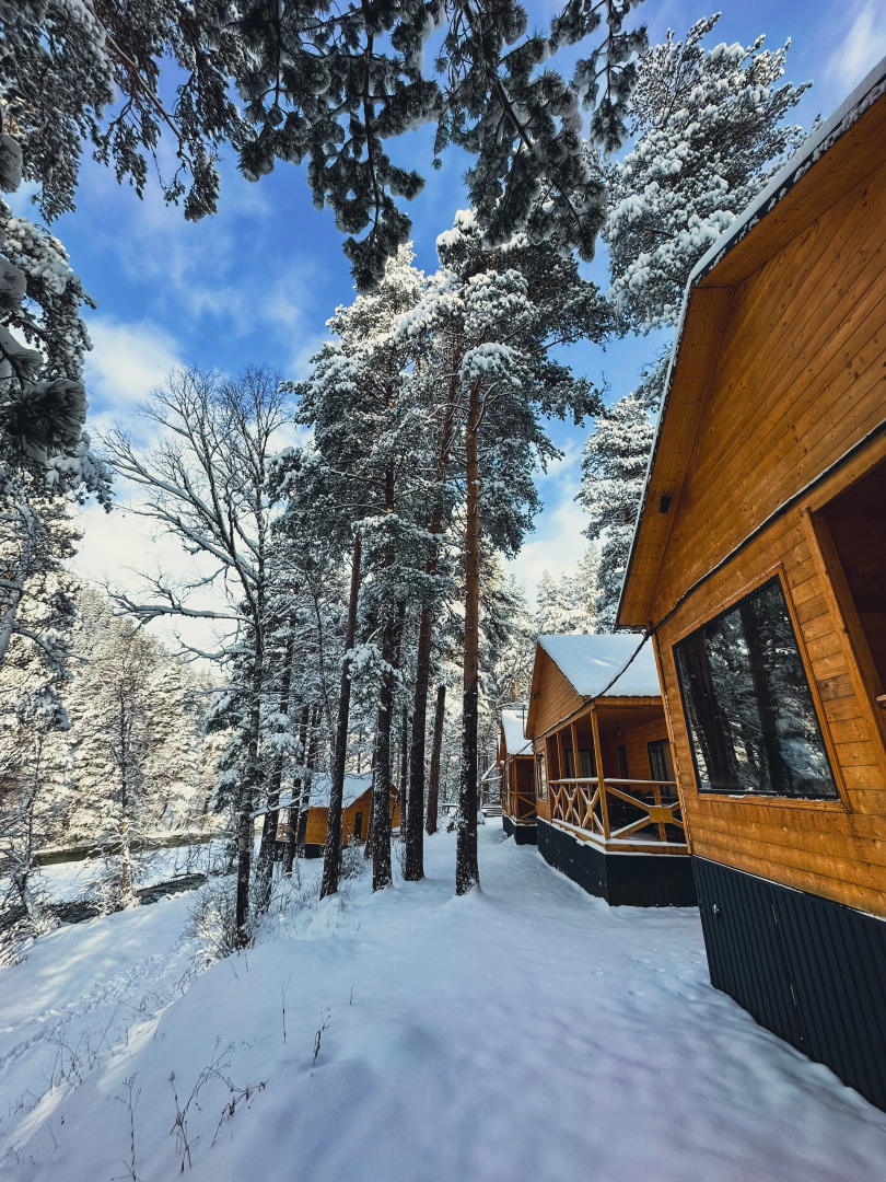 Шале Хвоя трехкомнатный люкс