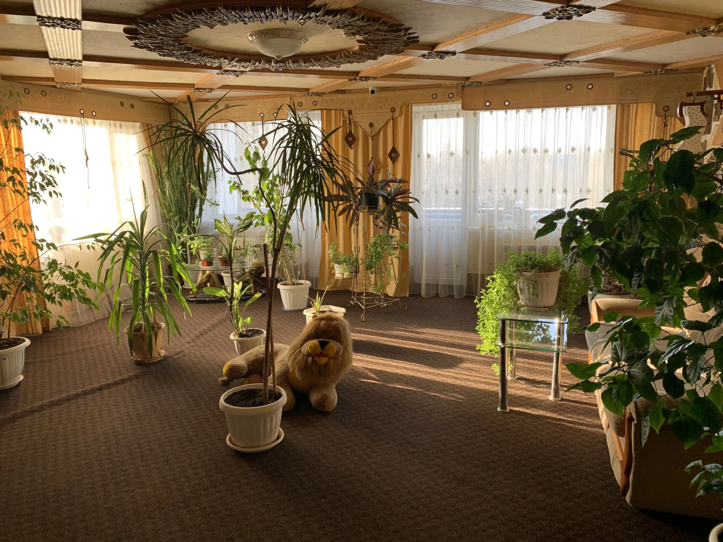 Отель Фантазия