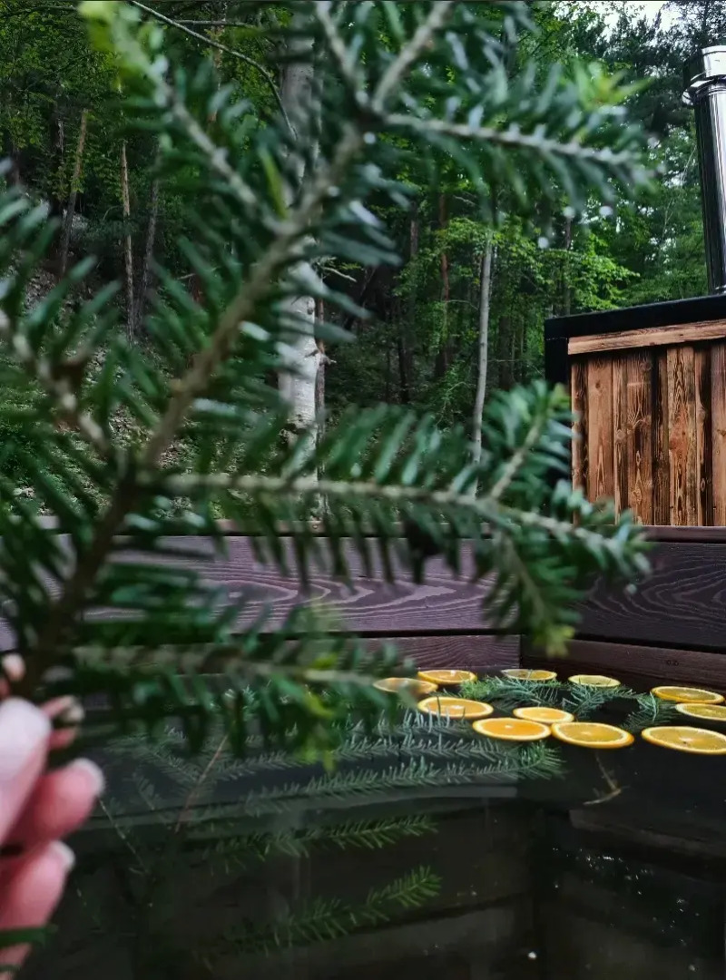 Гостевые дома Сердце Домбая