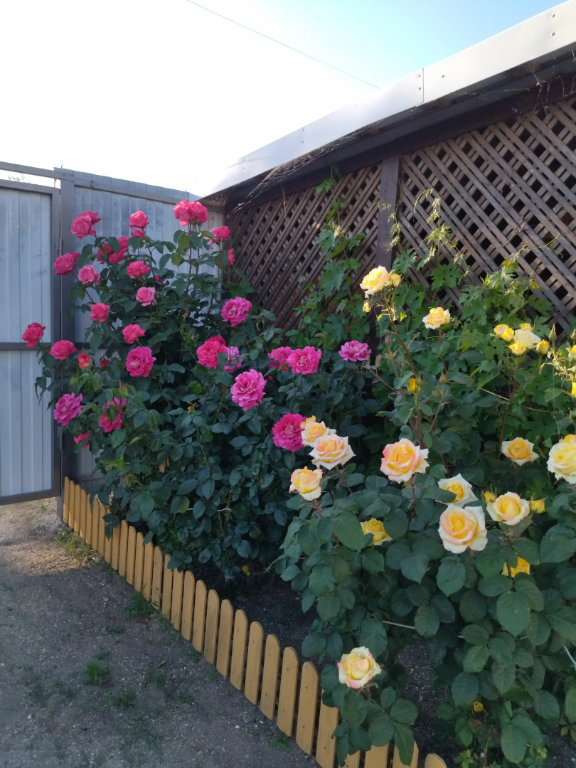 Частный Дом Песчаный берег