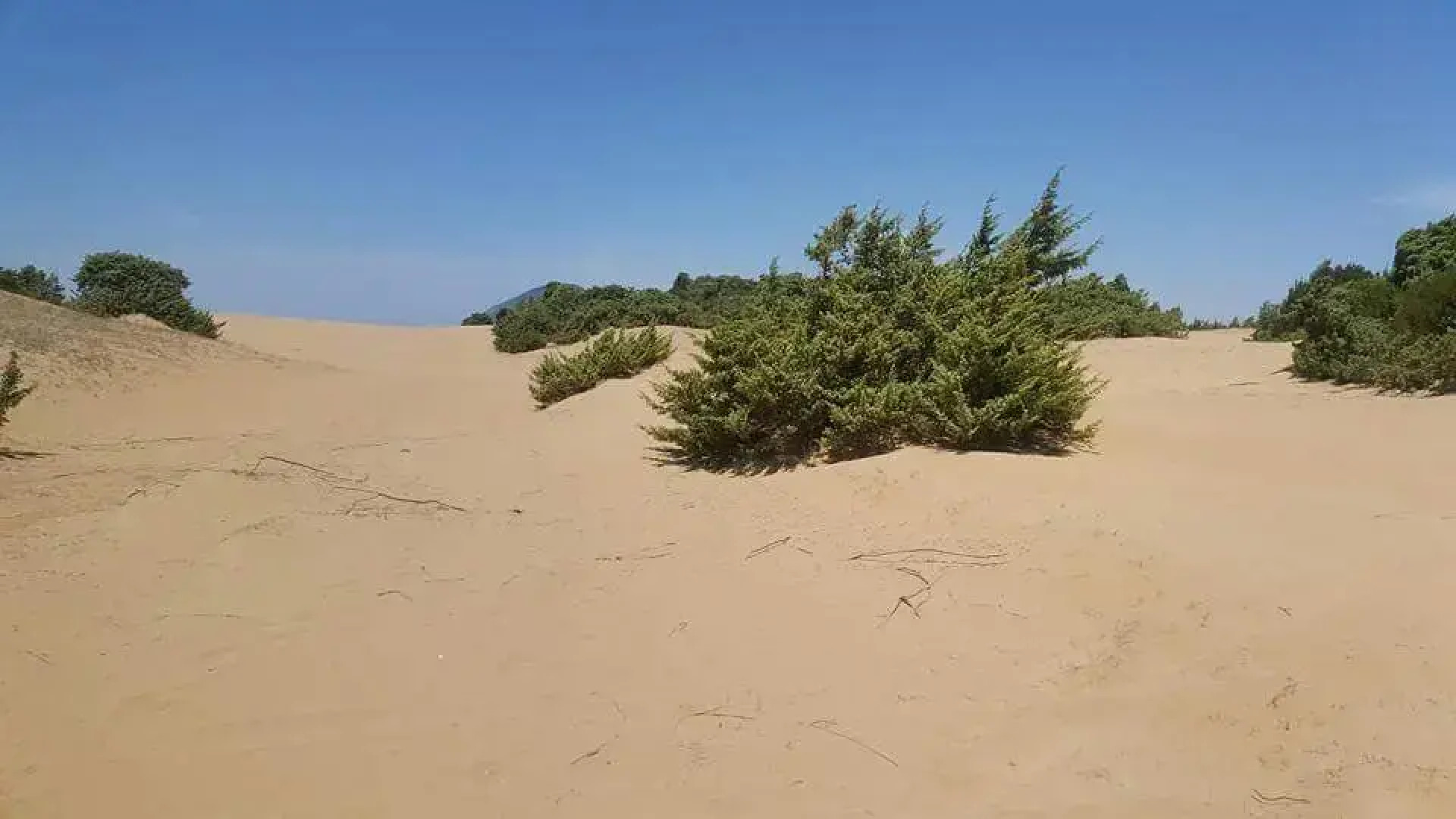 Вилла Tatiana Corfu