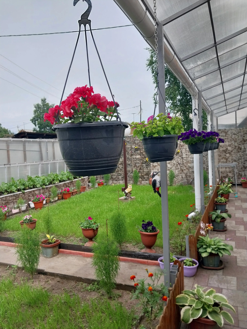 Отель Байкальская Жемчужинка