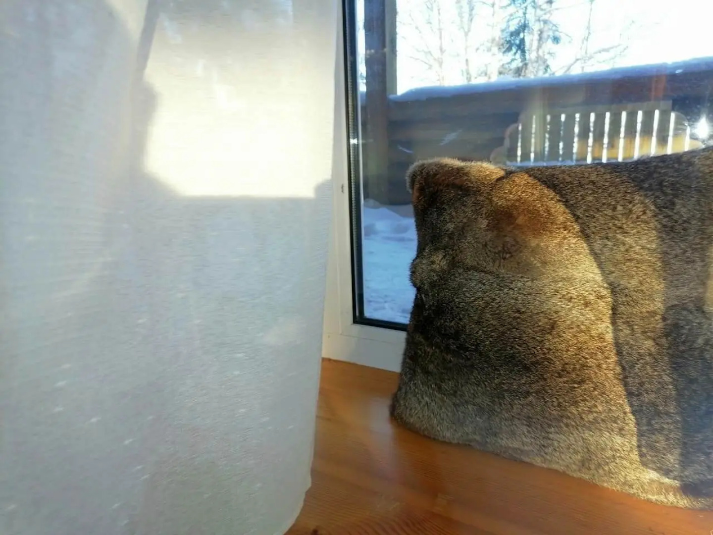 Гостевой дом Дом Капитана в Кириллове